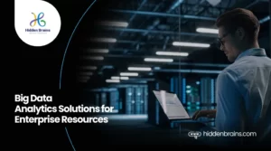 Big Data Analytics Solutions and Services