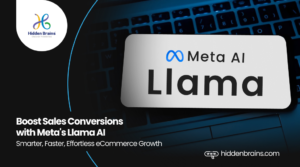Llama AI for eCommerce